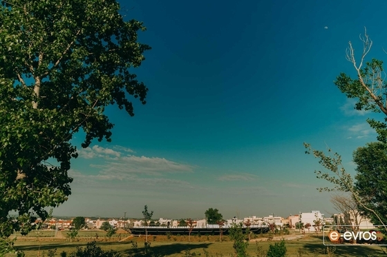 100 δέντρα θα φυτευτούν από τους μαθητές στο Οικοπάρκο Αλτιναλμάζη